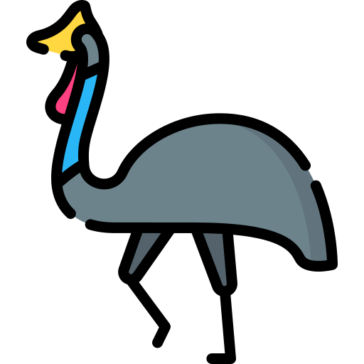 Cassowary Special Lineal color icon