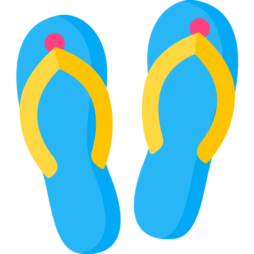 flip flops Special Flat icon