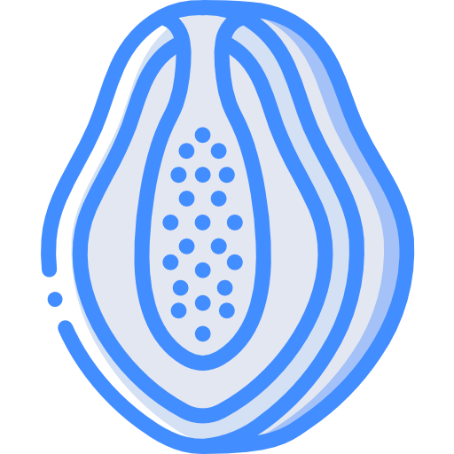 papaya Basic Miscellany Blue icono
