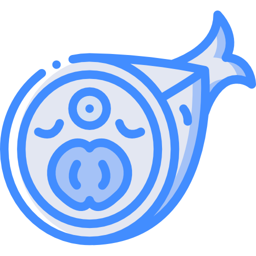 pescare Basic Miscellany Blue icona