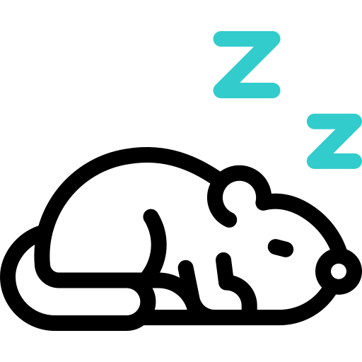 寝る Basic Accent Outline icon