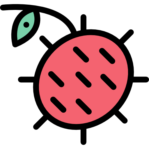 rambutan Detailed Rounded Lineal color icon