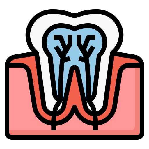 이빨 Generic color lineal-color icon