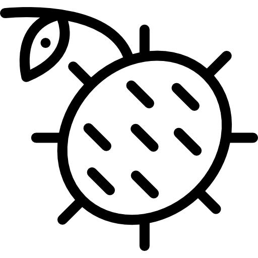 람부탄 Detailed Rounded Lineal icon
