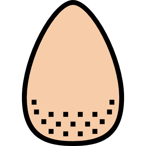 Egg Iconixar Lineal Color icon