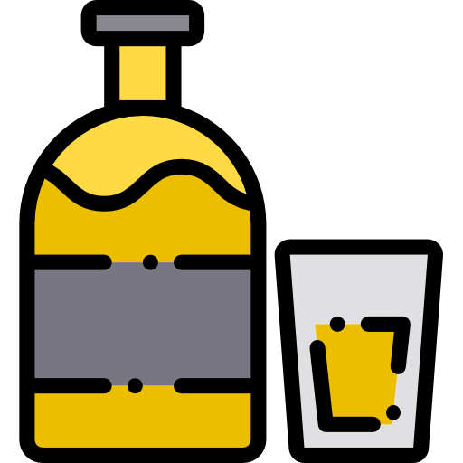 botella Phatplus Lineal Color icono