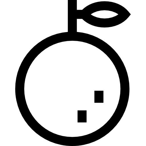 naranja Basic Straight Lineal icono