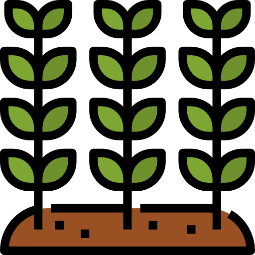 Leaf Aphiradee (monkik) Lineal Color icon