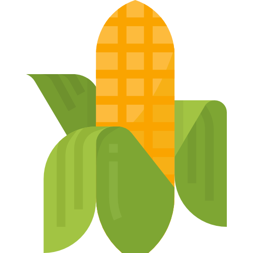 Corn Aphiradee (monkik) Flat icon