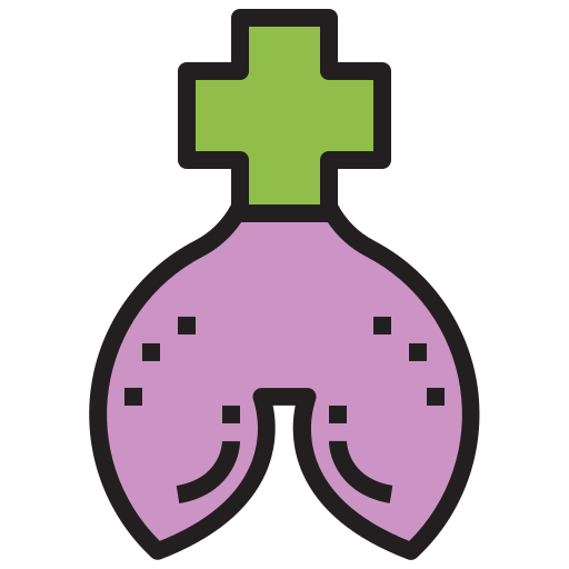 Organ Generic color lineal-color icon
