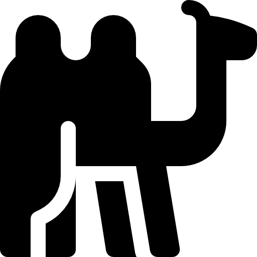 Dromedary Basic Rounded Filled icon