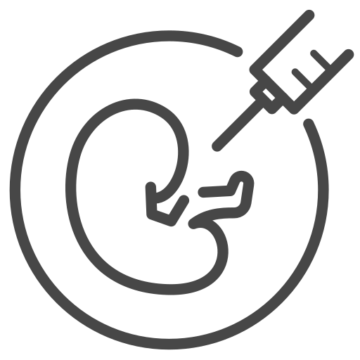 embrión Generic outline icono