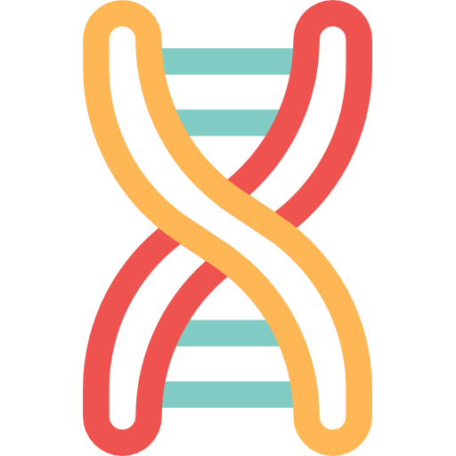 adn Basic Rounded Lineal Color icono