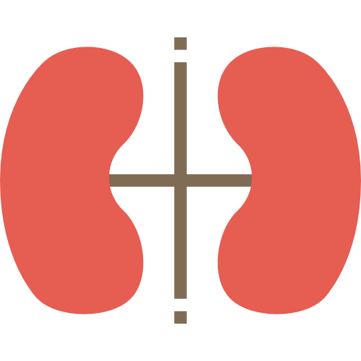 Kidney Ultimatearm Flat icon