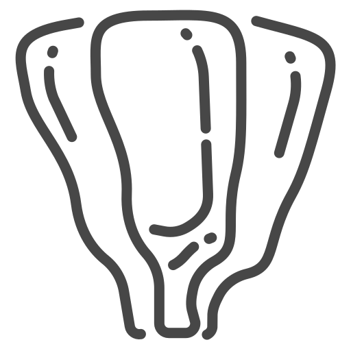 geräuchert Generic outline icon