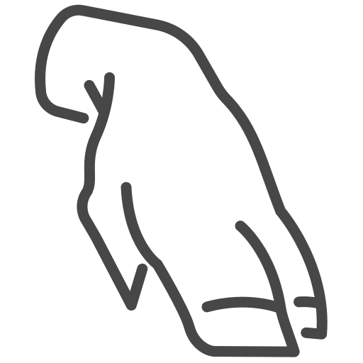 piede di maiale Generic outline icona