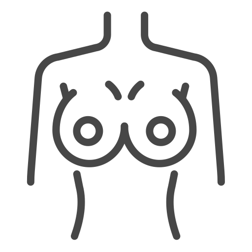 bh Generic outline icon