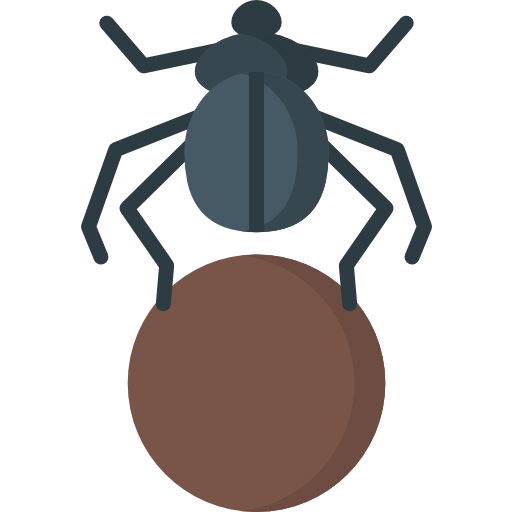 escarabajo Special Flat icono