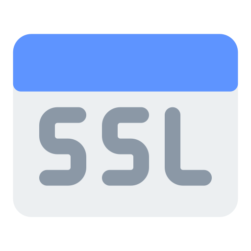 ssl Generic color fill icon