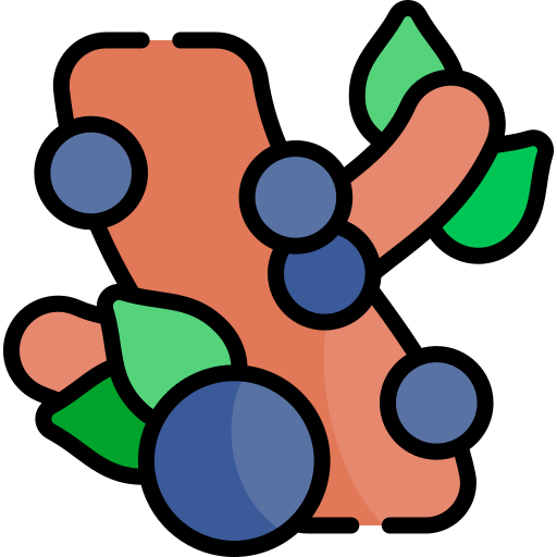 자부티카바 Kawaii Lineal color icon