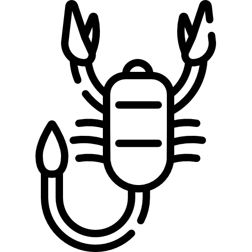 スコーピオン Special Lineal icon