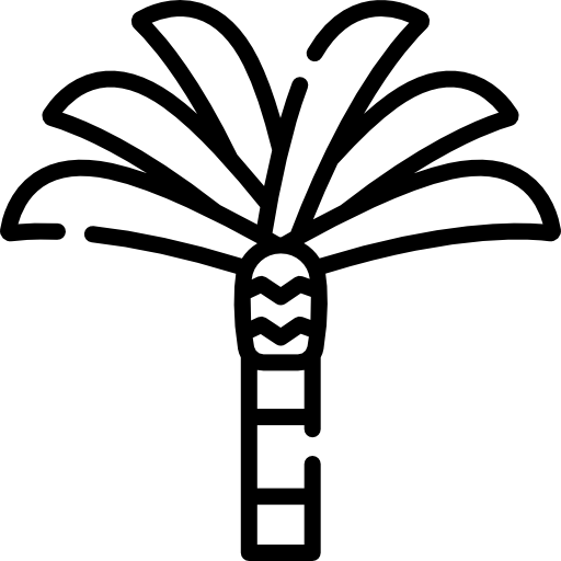 palmera Special Lineal icono