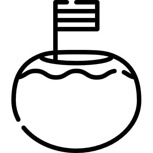 ココナッツ Special Lineal icon