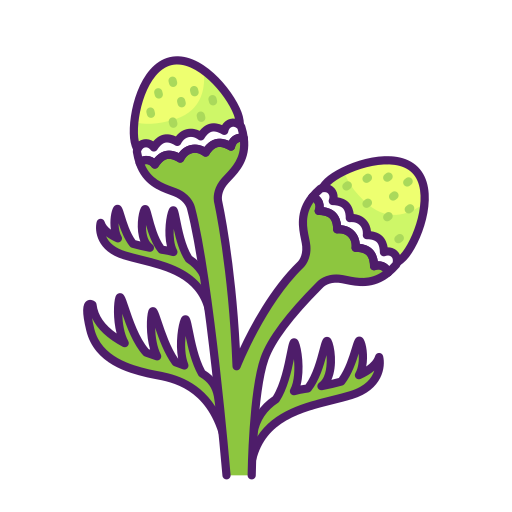 hierba de piña Generic color lineal-color icono