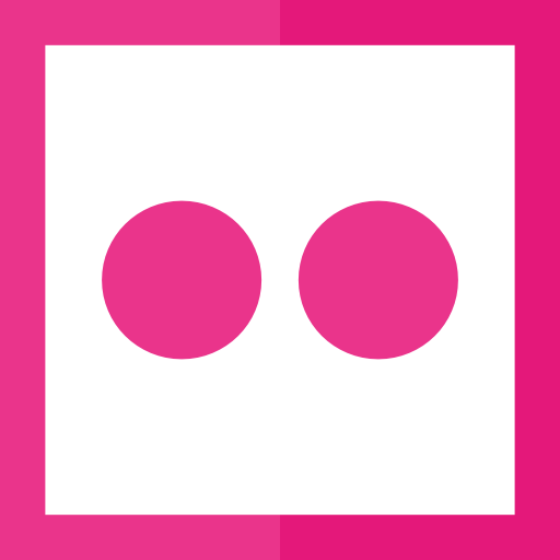 flickr Basic Straight Flat icon