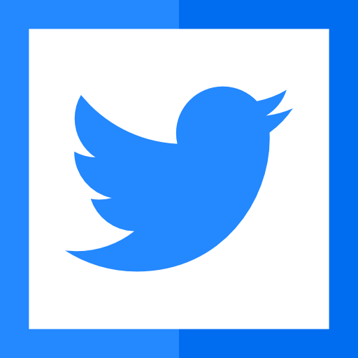 Twitter Basic Straight Flat icon
