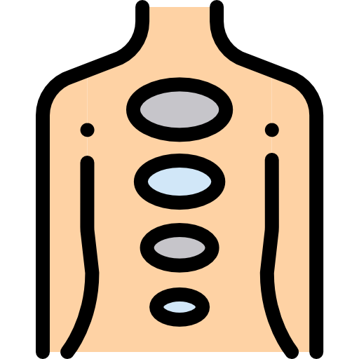 cuerpo Detailed Rounded Lineal color icono