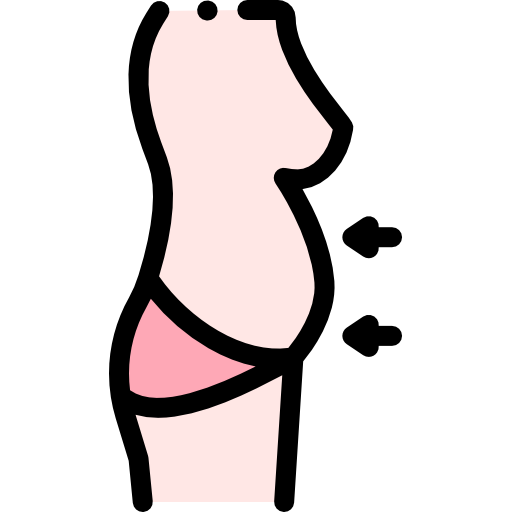 Belly Detailed Rounded Lineal color icon