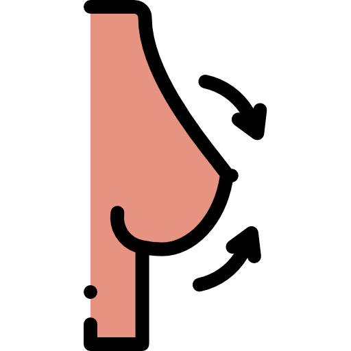 Breast Detailed Rounded Lineal color icon