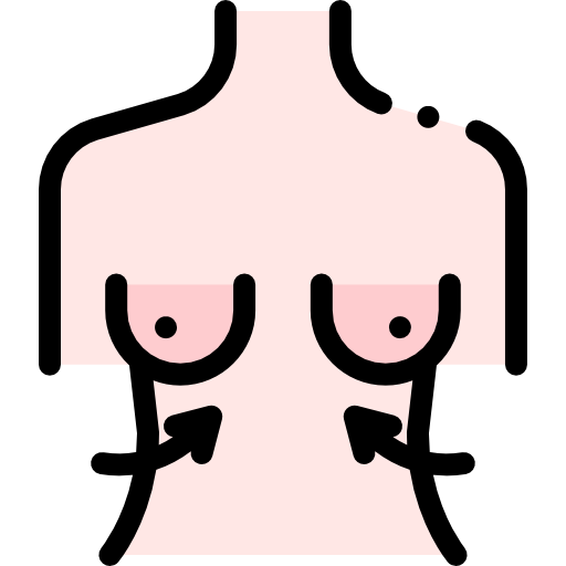 Breast Detailed Rounded Lineal color icon