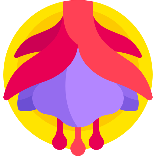 Fuchsia Detailed Flat Circular Flat icon