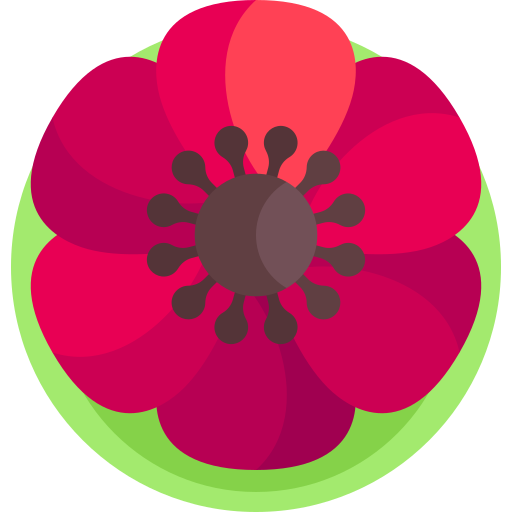 Poppy Detailed Flat Circular Flat icon