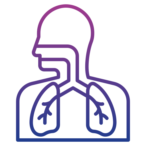 Дыхательная система Generic gradient outline иконка