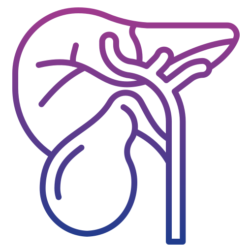 Liver Generic gradient outline icon