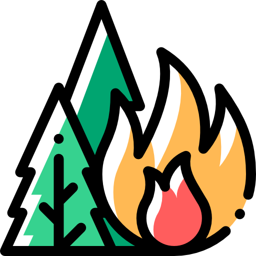 Fire Detailed Rounded Color Omission icon