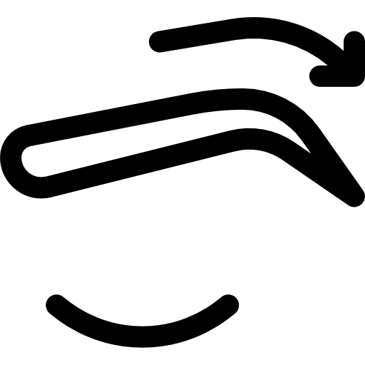 sopracciglia Basic Rounded Lineal icona