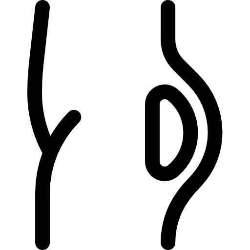 대상 Basic Rounded Lineal icon