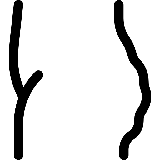 cellulit Basic Rounded Lineal ikona