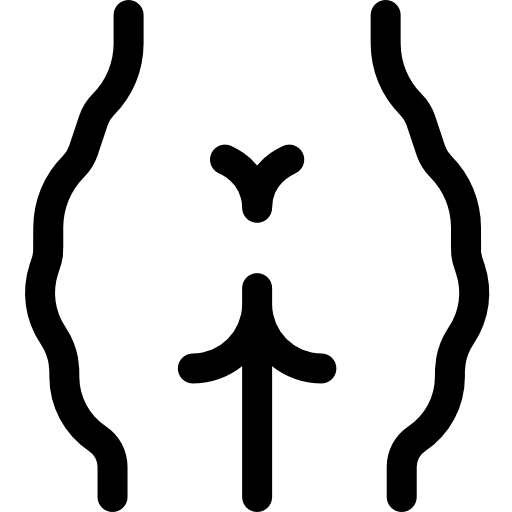 蜂窩織炎 Basic Rounded Lineal icon