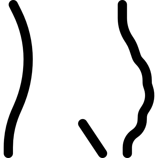 gordo Basic Rounded Lineal icono
