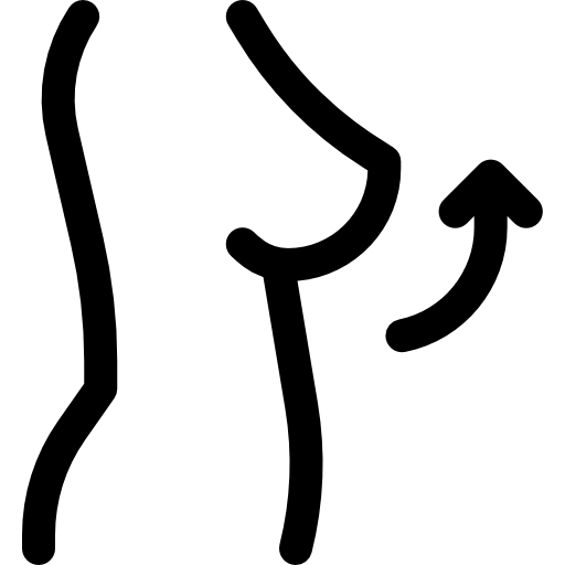 Грудь Basic Rounded Lineal иконка