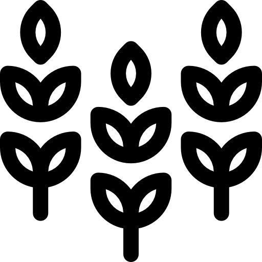 trigo Basic Rounded Lineal icono