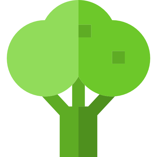 brócoli Basic Straight Flat icono
