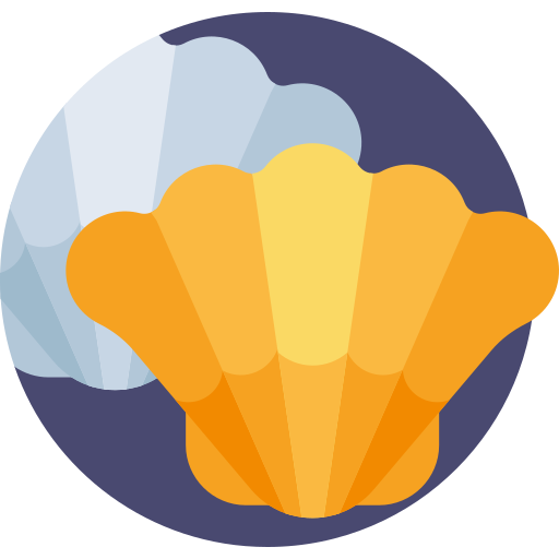 Shell Detailed Flat Circular Flat icon