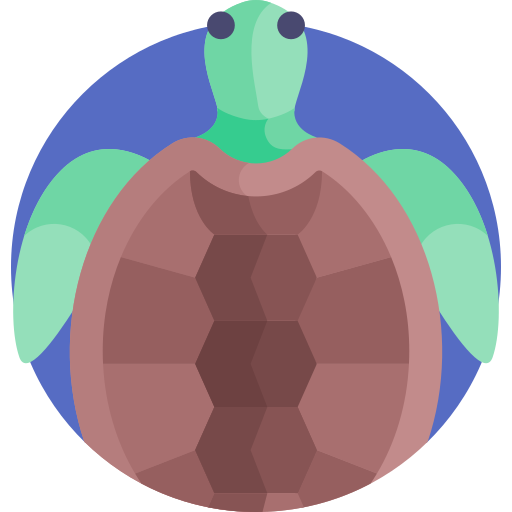 schildpad Detailed Flat Circular Flat icoon