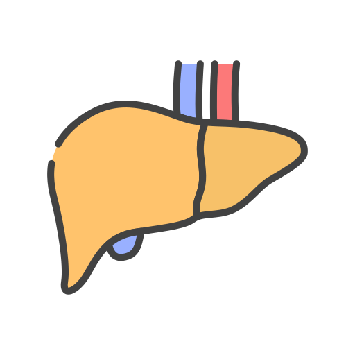 Human Generic color lineal-color icon